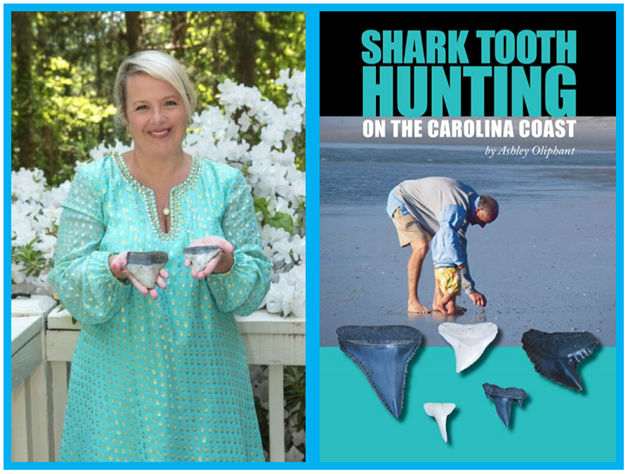 Shark Teeth with Dr. Oliphant – July 5th @ 6 pm