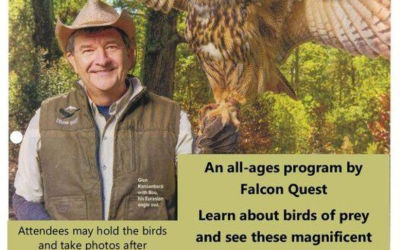 Falcon Quest – Wednesday, July 9th 2025 @ 2:30pm